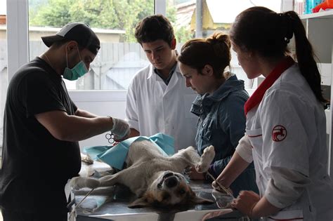 cabinet veterinar andrei tudor piatra neamt|Recenzii și Informații S.C. Tudor Doc.